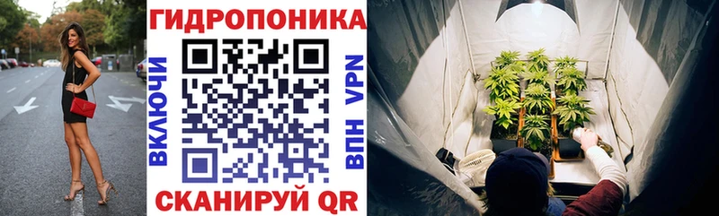где купить наркоту  Шиханы  Конопля ГИДРОПОН 